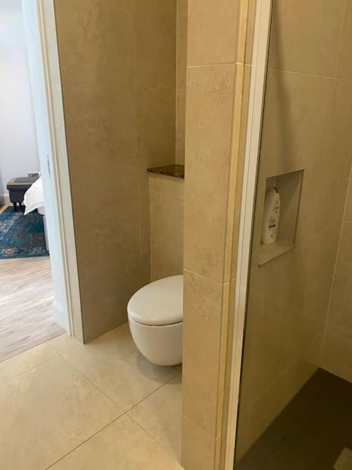 Beautiful Garden Apartment With Private Patio And Garden View دبلن المظهر الخارجي الصورة