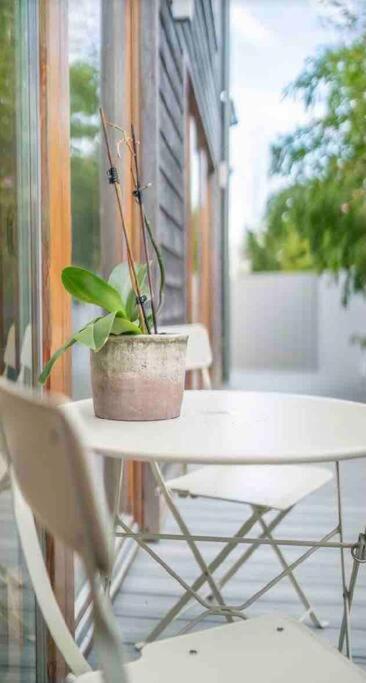 Beautiful Garden Apartment With Private Patio And Garden View دبلن المظهر الخارجي الصورة